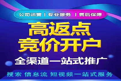 SEM关键词优化实战案例分析